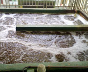 三亿体育官网入口