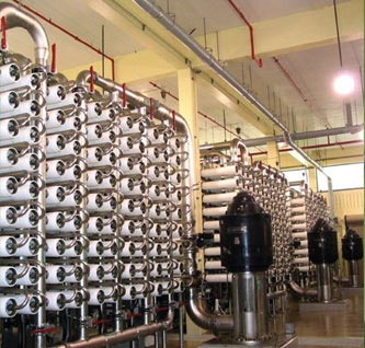 三亿体育官网入口