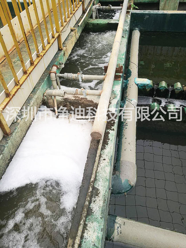 三亿体育官网入口