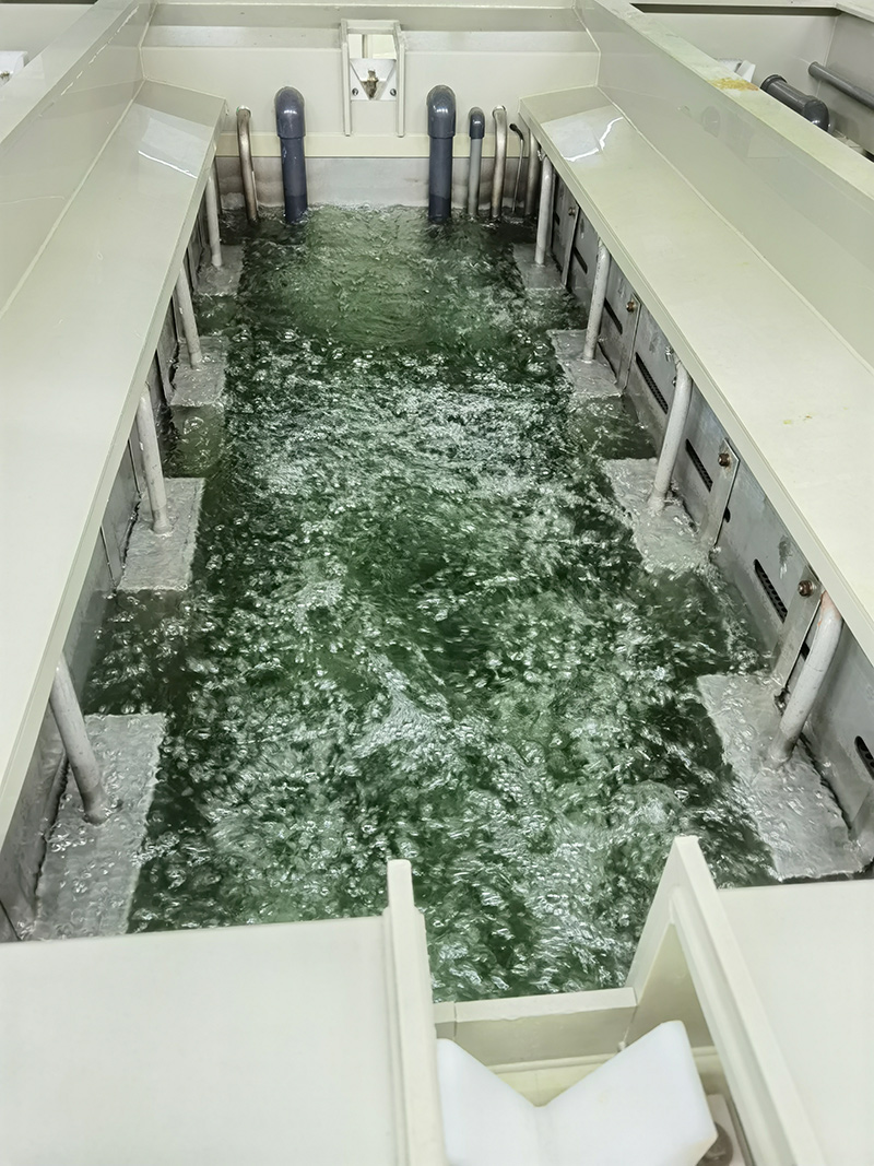 三亿体育官网入口