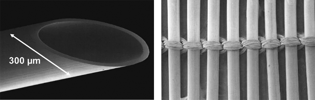 三亿体育官网入口